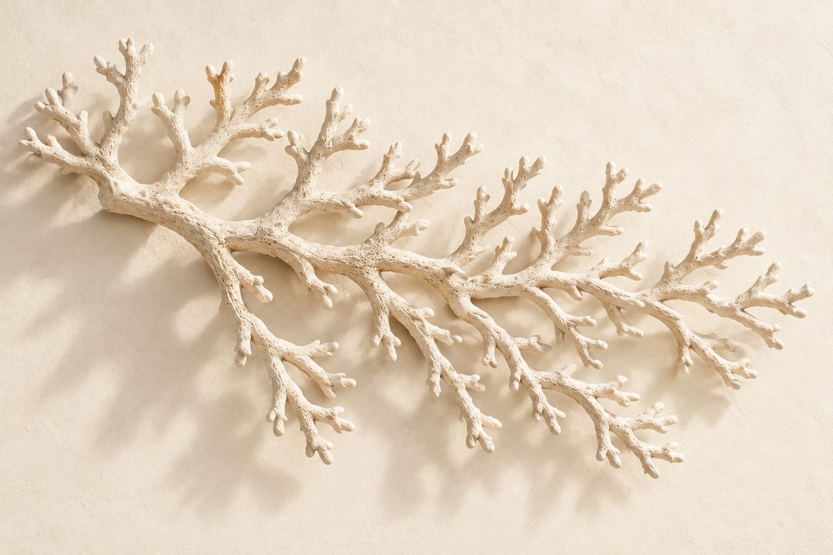CREAM CORAL ACRYLIC WALL ART
